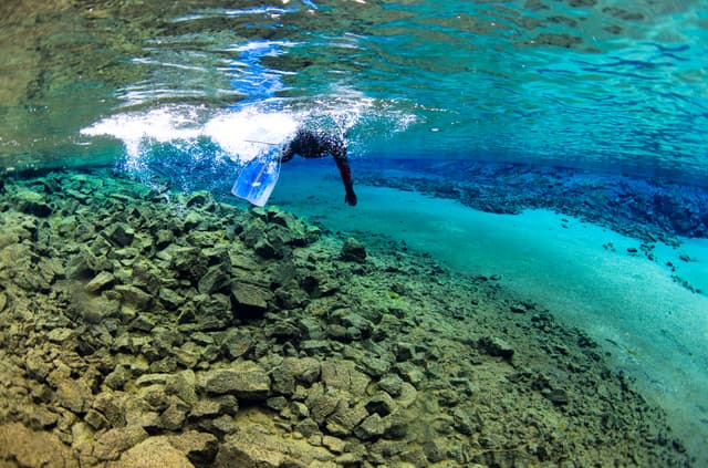 Snorkeling -Into the Blue 11 ellithor.com