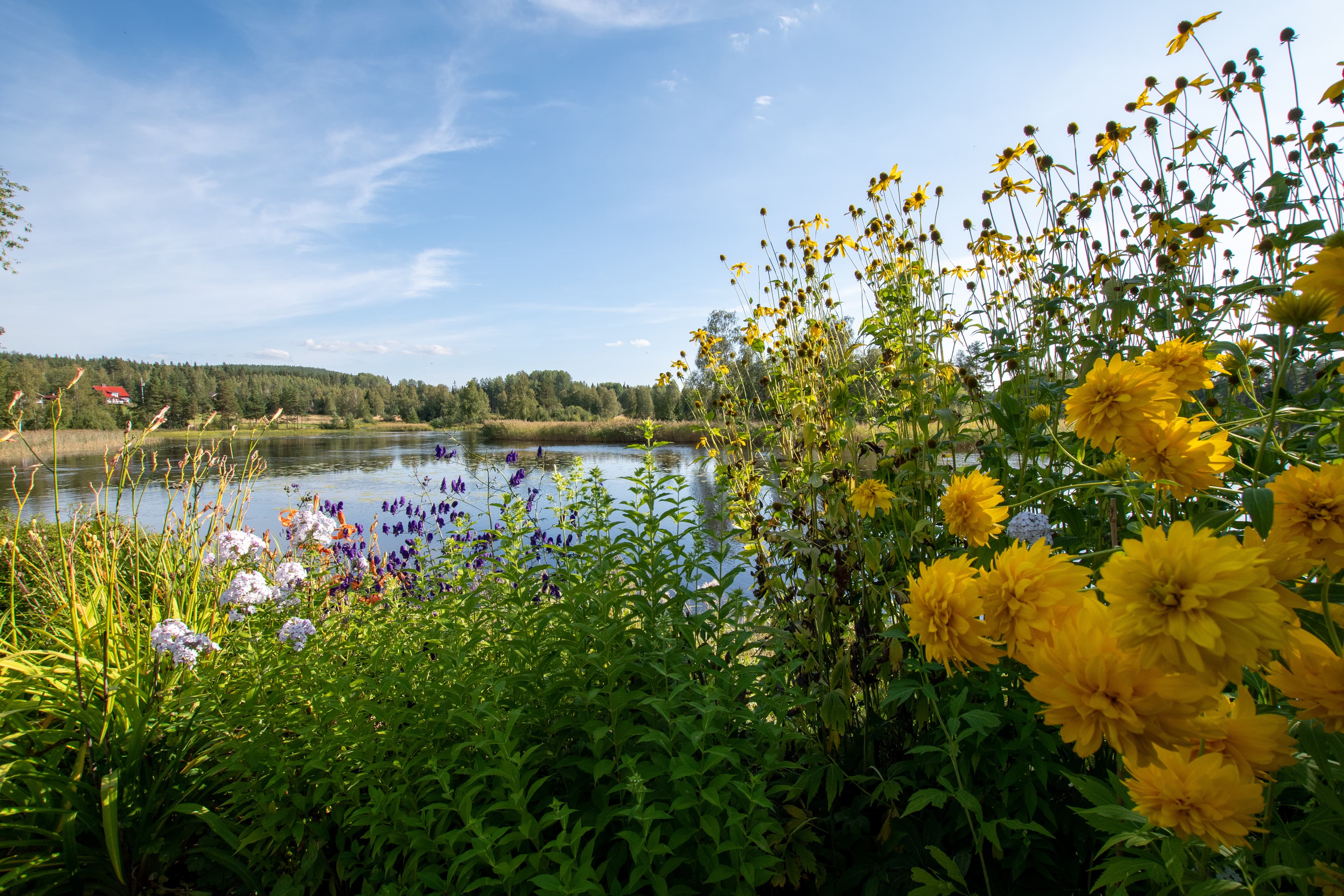 Northern Europe Sweden Dalarna Leksand
