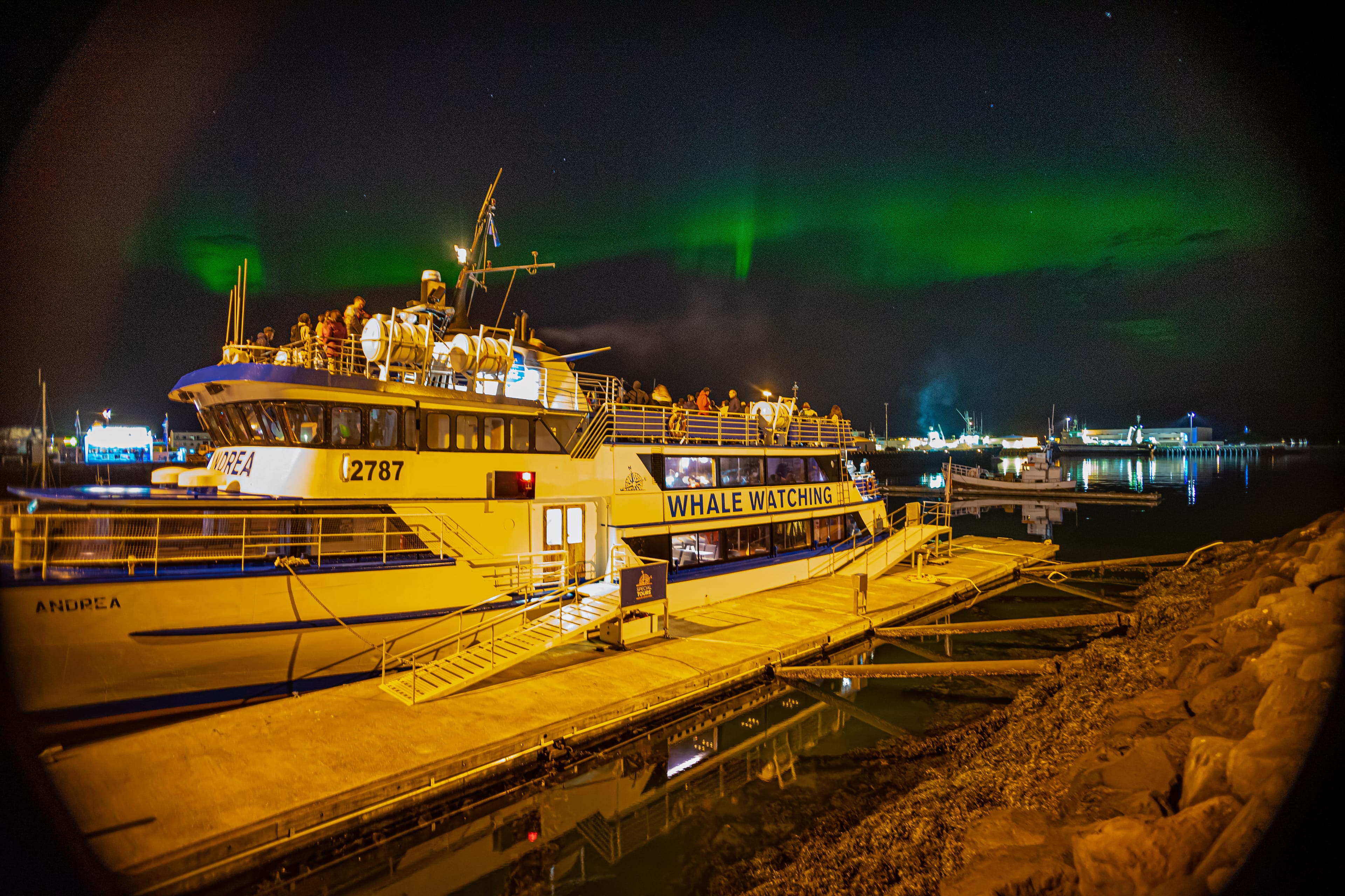 Northern lights by boat Special tours 04