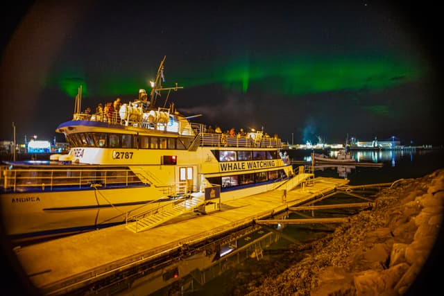 Northern lights by boat Special tours 04