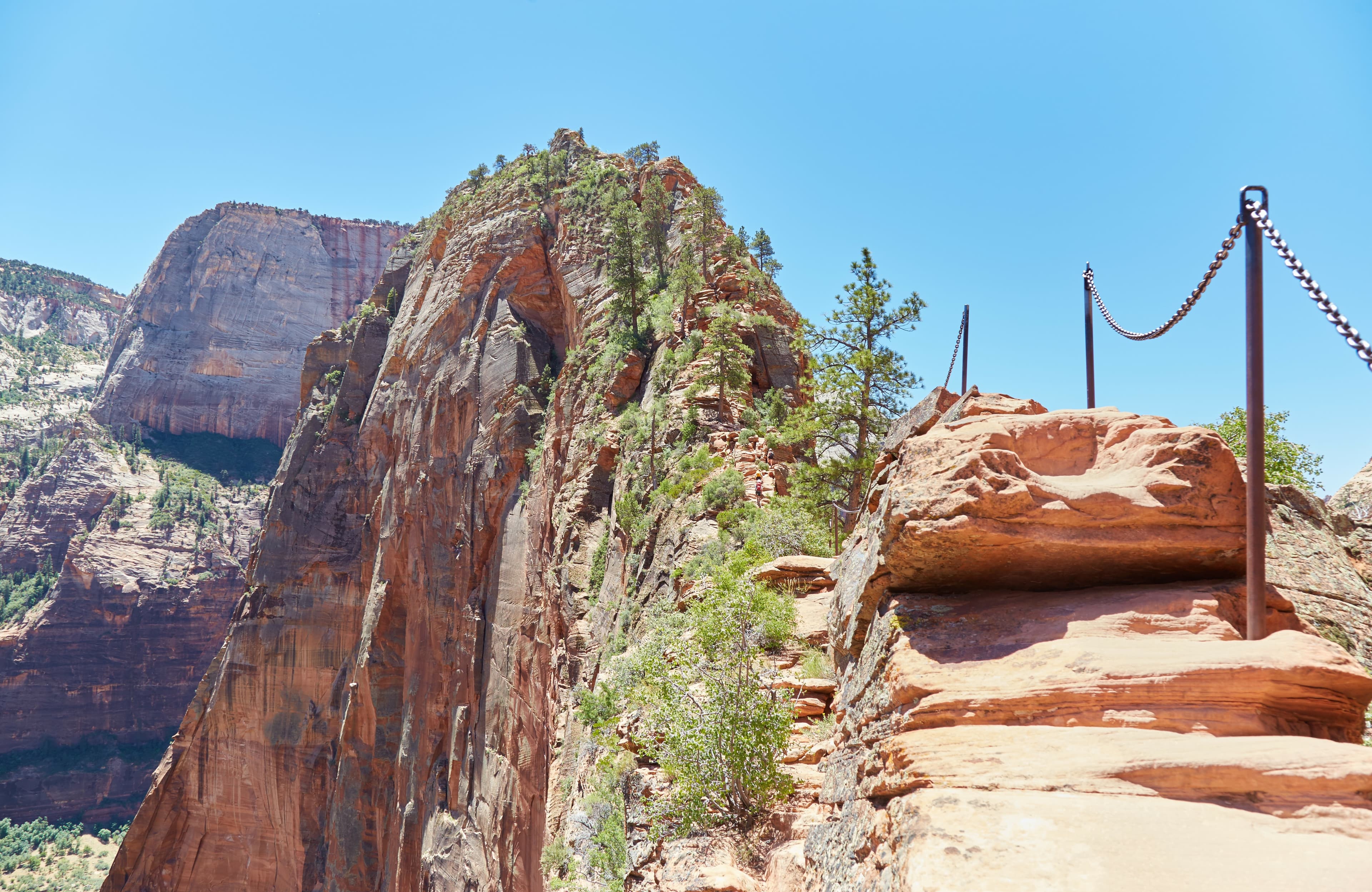 Zion National Park's Angels Landing is one of America's most thrilling hikes, as the final, narrow section can only be traversed by grabbing onto metal chains. Hiking the Thrilling Angels Landing at Zion National Park