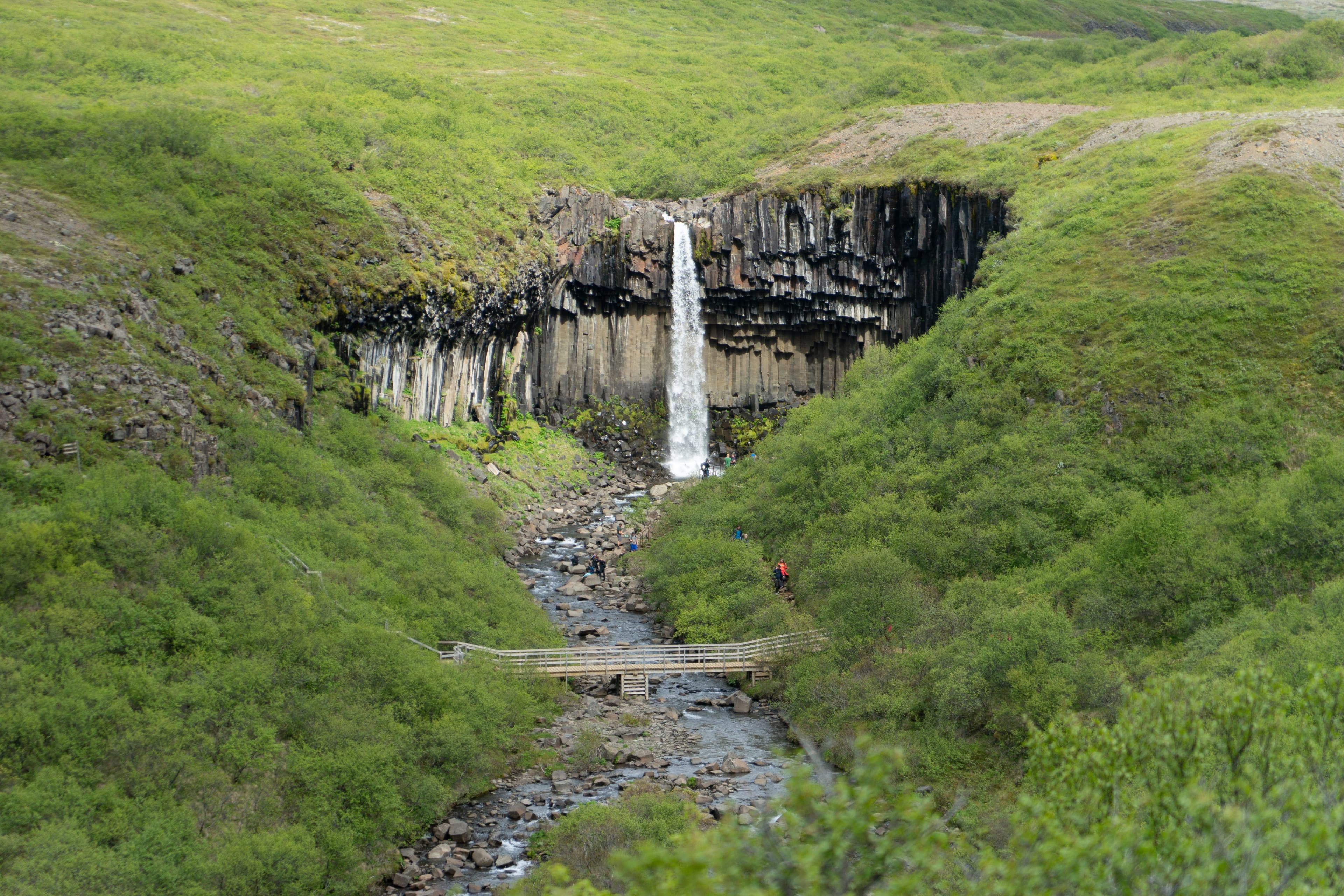 Svartifoss Wasserfall in Island in grüner Einrahmung
