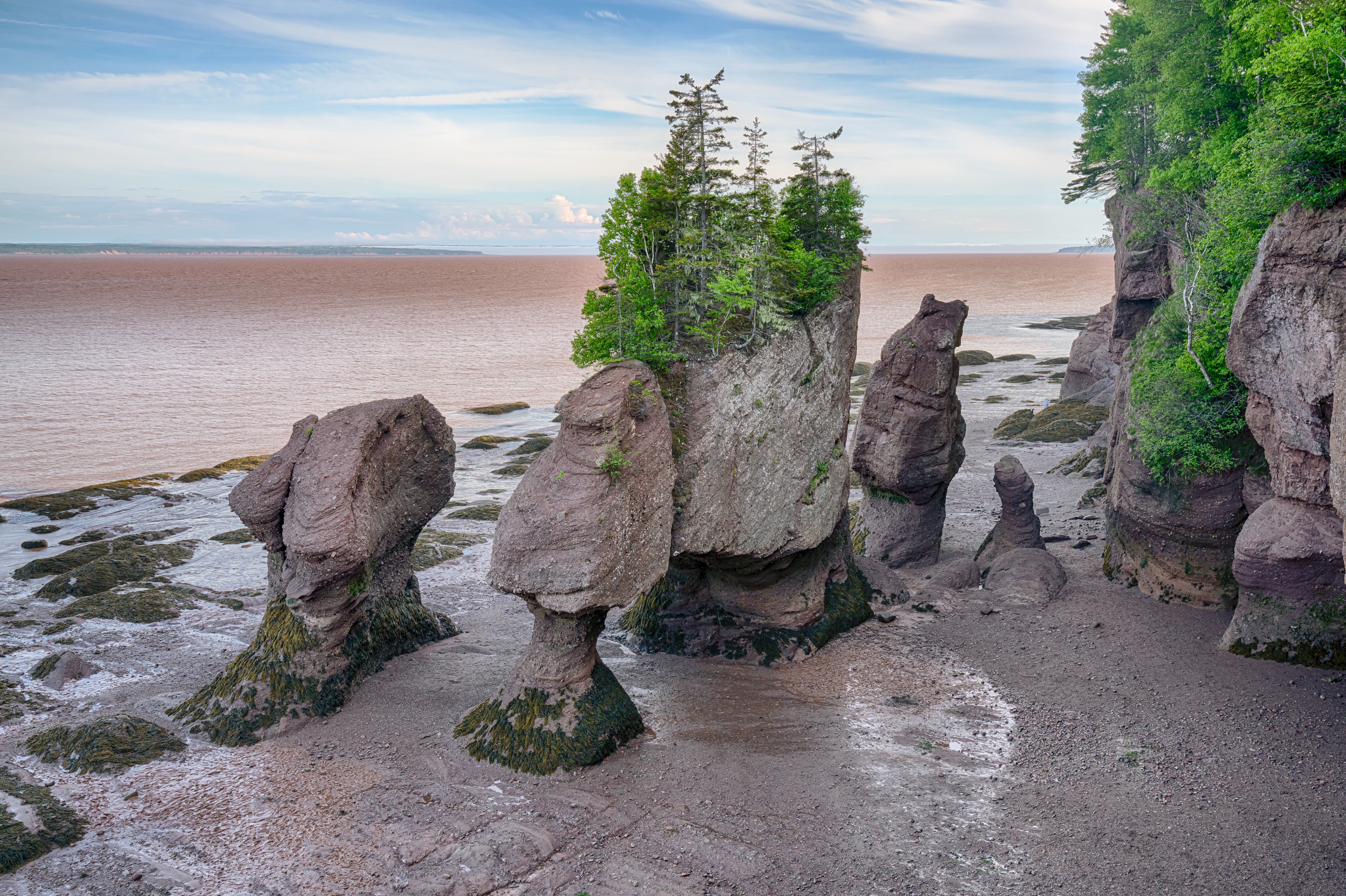 Flower Pot formations along the Bay of Fundy in Hopewell Rocks Park, New Brunswick, Canada New Brunswick Region 07