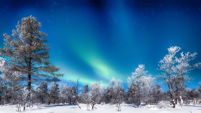 Panoramic view of amazing Aurora Borealis northern lights over beautiful winter wonderland scenery with trees and snow on a scenic cold night in Scandinavia, northern Europe Aurora Borealis over winter wonderland scenery in Scandinavia