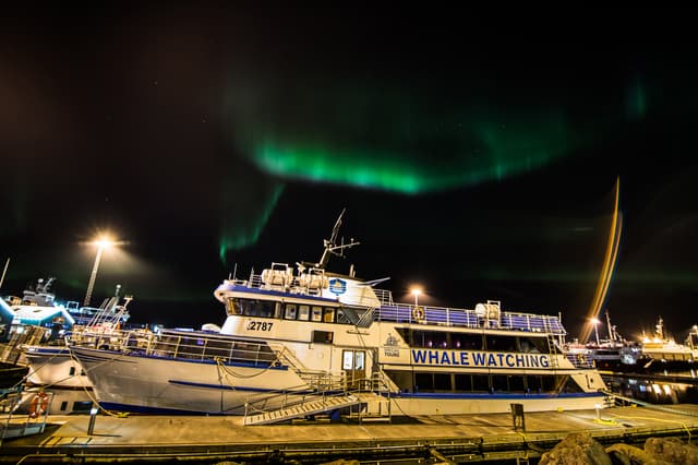 Northern lights by boat Special tours 69