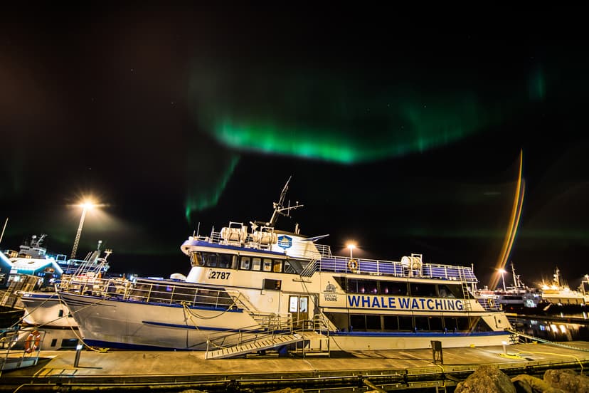 Northern lights by boat Special tours 69