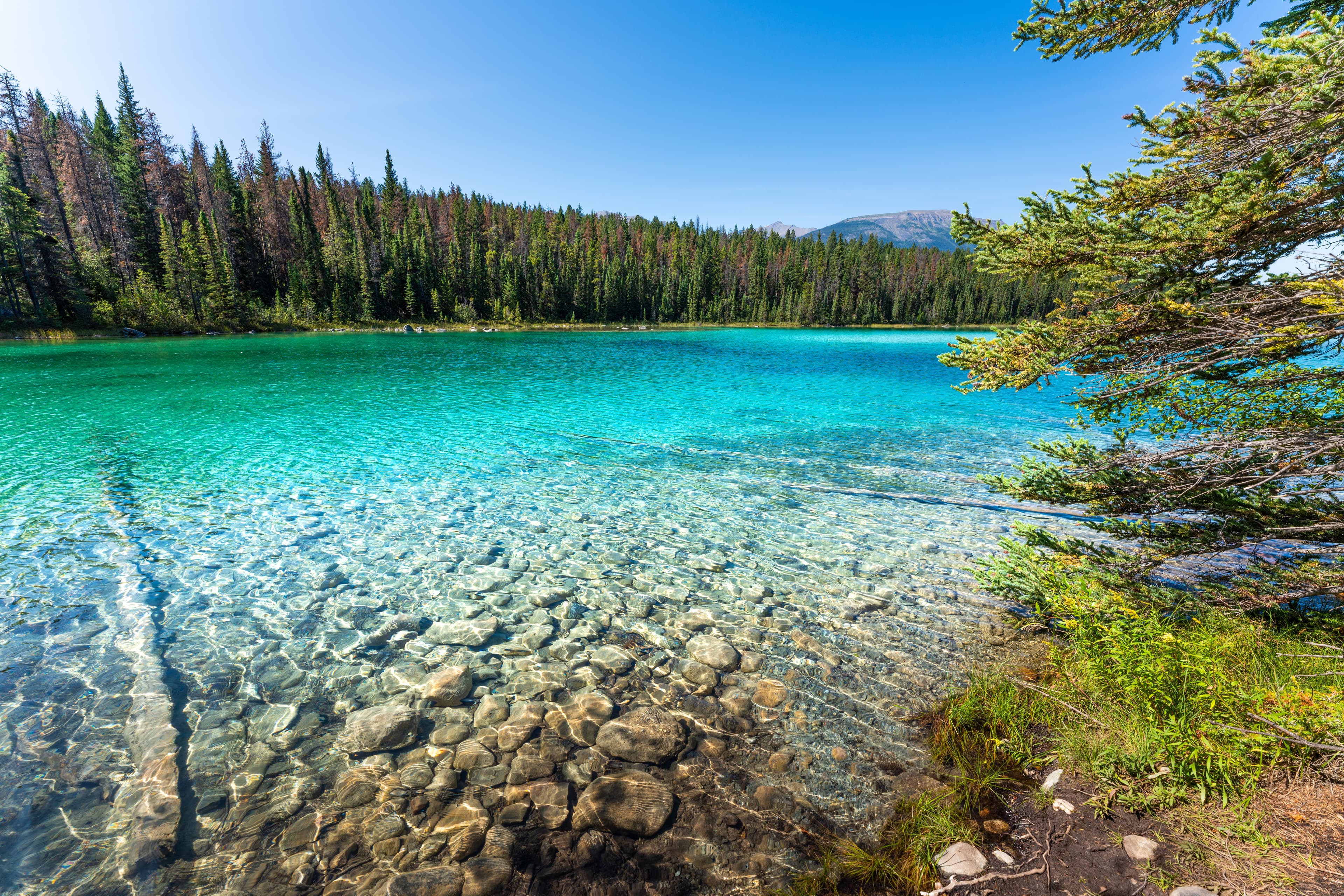 Second lake at Valley of Five Lakes, Jasper NP, Canadian Rockies, Canada. Second lake at Valley of Five Lakes, Jasper, Canadian Rockies, Canada.