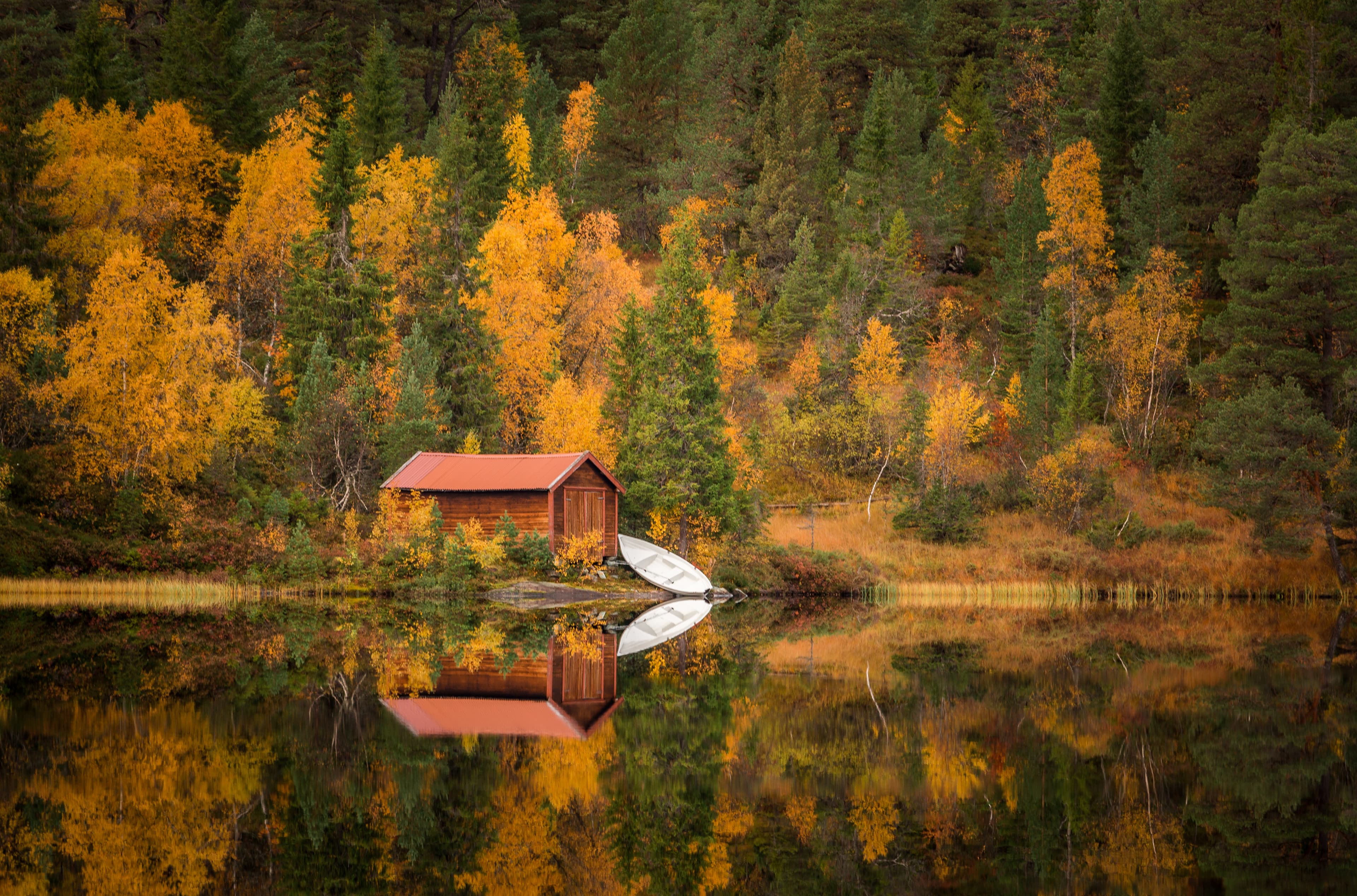 Autumn in Bymarka area in Trondheim, Norway. Beautiful reflections on the lake Skjellbreia. Autumn in Bymarka area in Trondheim, Norway. Beautiful reflections on the lake,