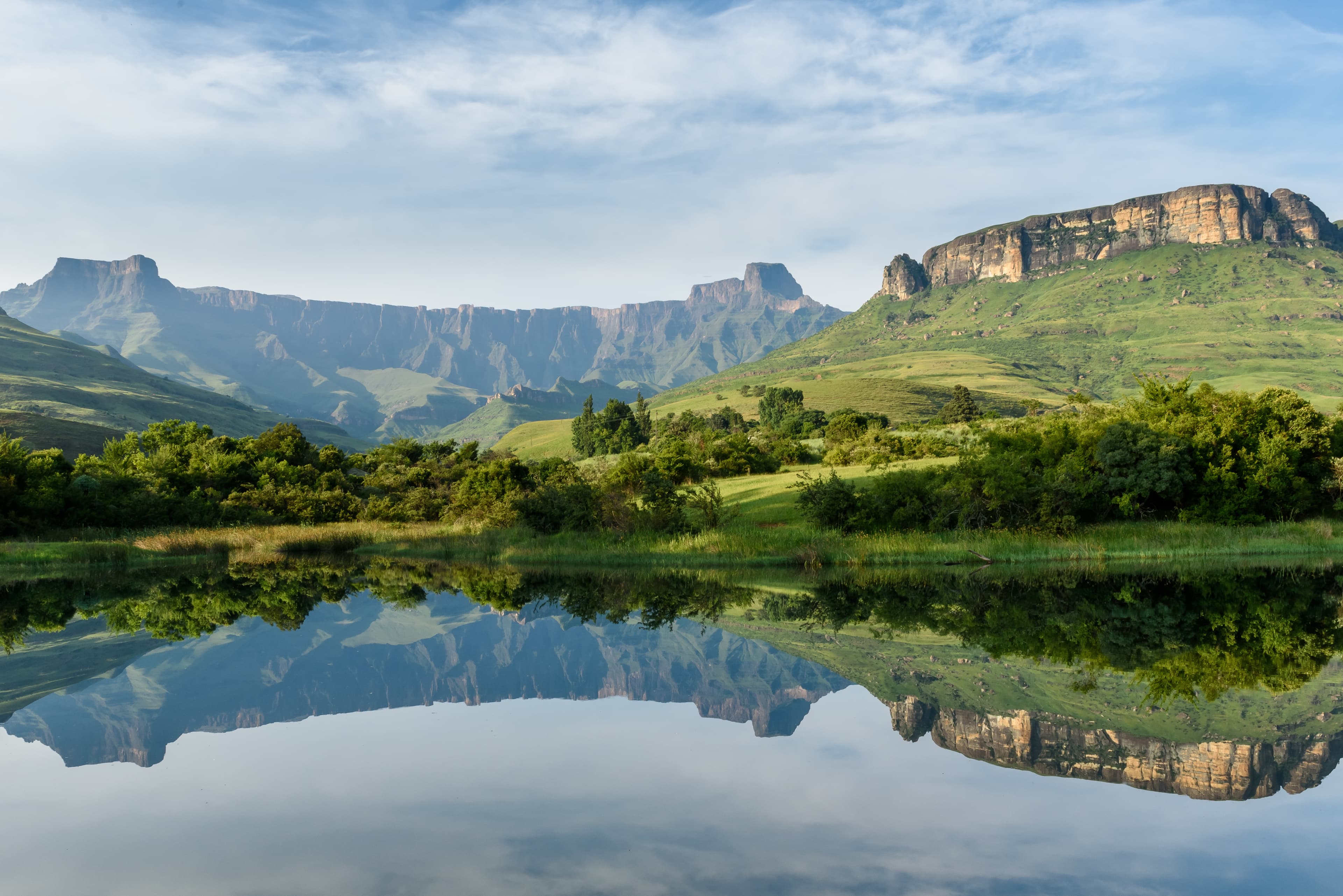 Mirror like reflection in water of the Amphitheater Drakenberg Mountains in the Royal Natal Nature Reserve in South Africa during green summer.