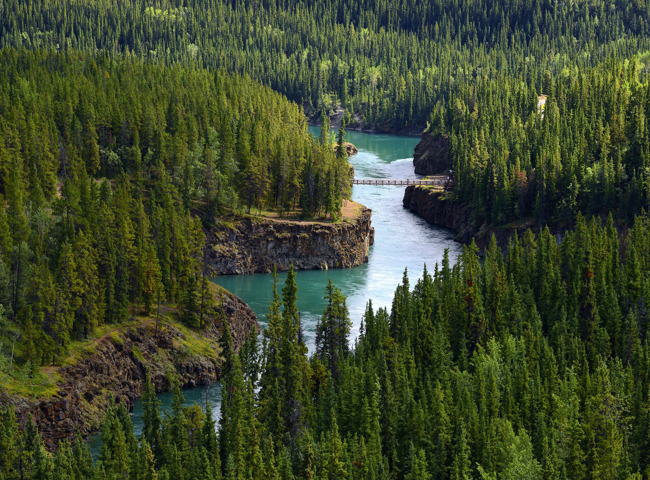 Yukon river near Whitehorse - Miles Canyon, Yukon, Yukon Territory, Canada