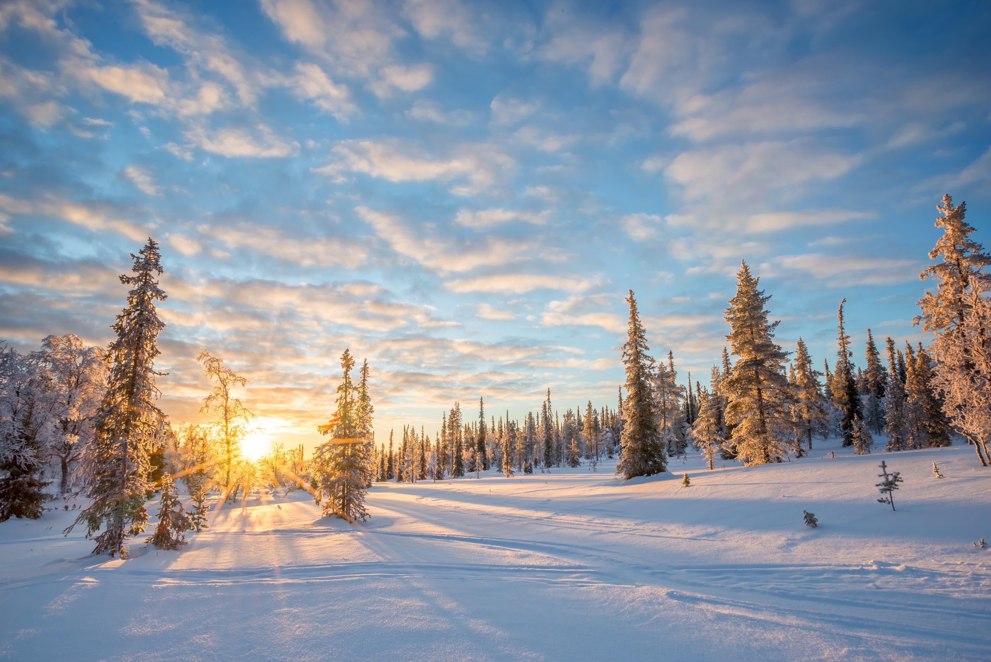 Snowy landscape at sunset, frozen trees in winter in Saariselka, Lapland, Finland Snowy landscape at sunset, frozen trees in winter in Saariselka, Lapland, Finland
