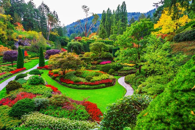 Best of Victoria Tour Including Butchart Gardens 4