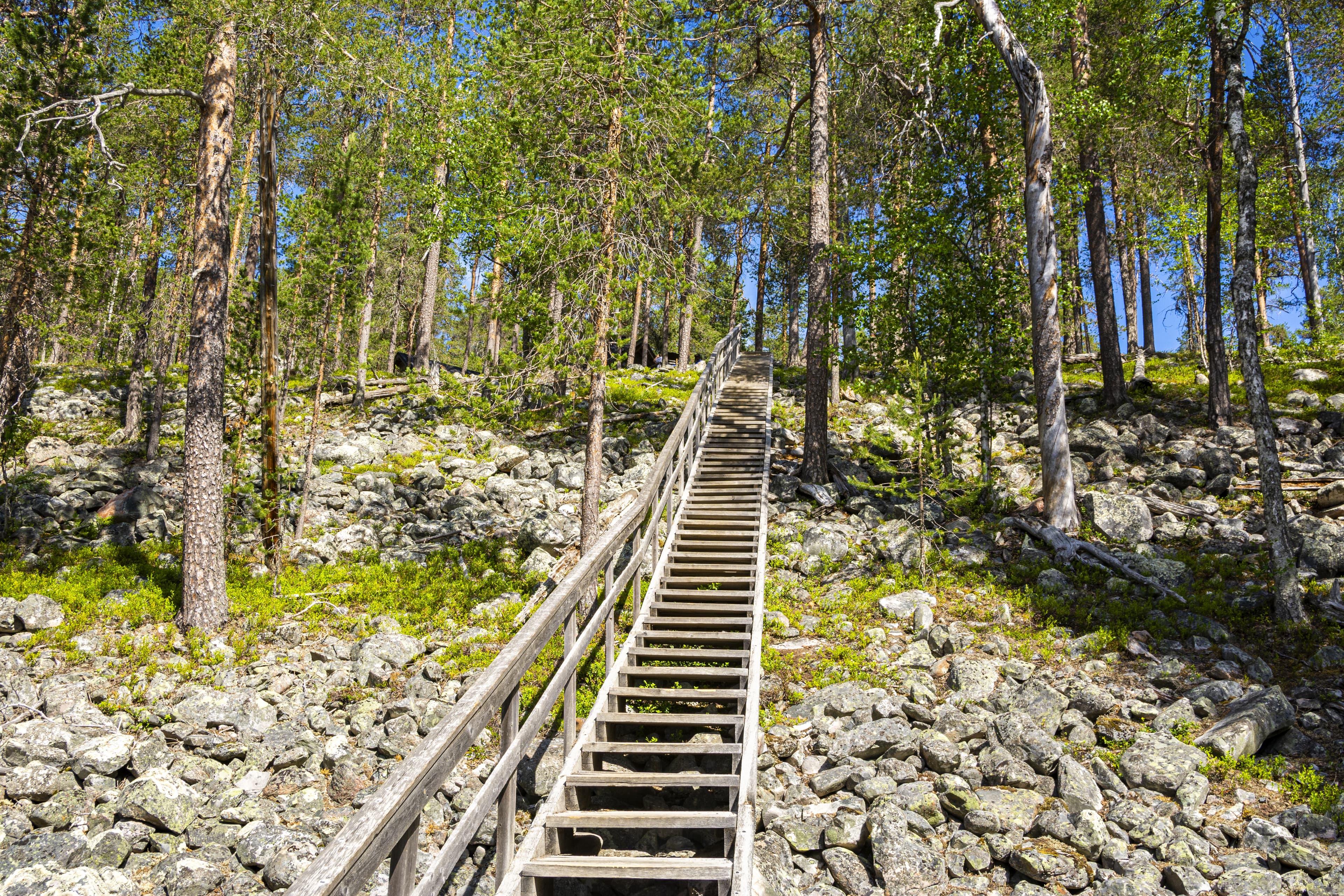 View of The Pyha-Luosto National Park in summer, wooden stairway, trees and rocks, Lapland, Finland View of The Pyha-Luosto National Park in summer, wooden stairway, trees and rocks, Lapland, Finland