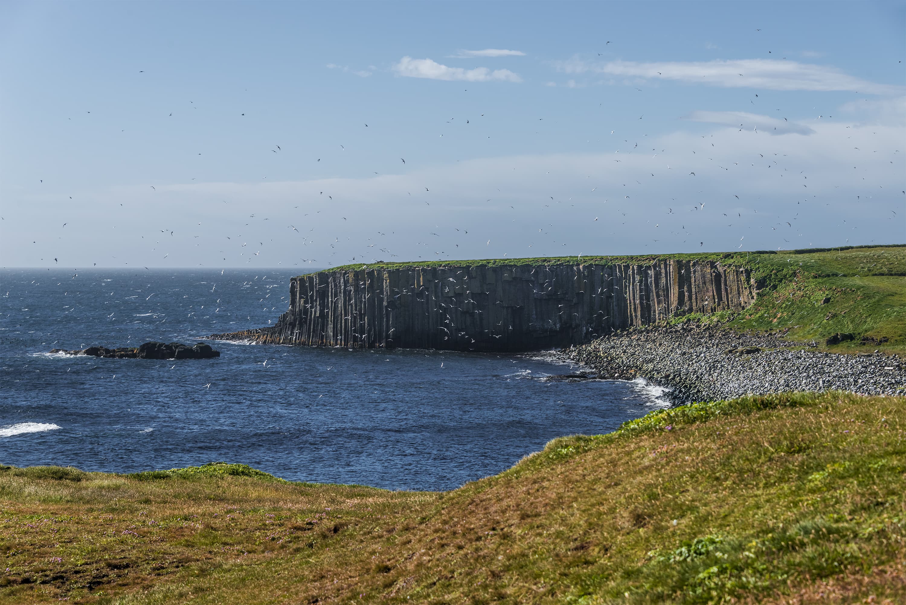 Beautiful seashor of Grimsey island nearby Iceland, summer, 2015 Beautiful seashore of Grimsey island nearby Iceland, summer time
