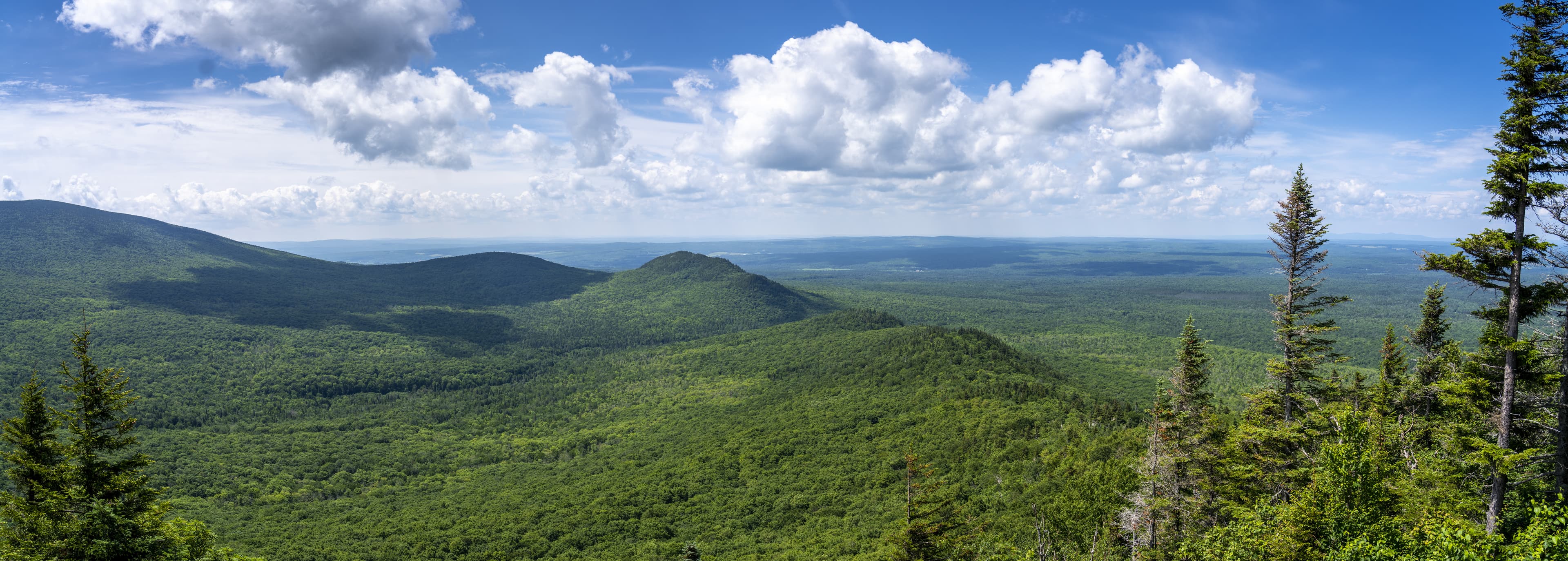 Panoramic view of the Appalachian mountains during summertime in Canada