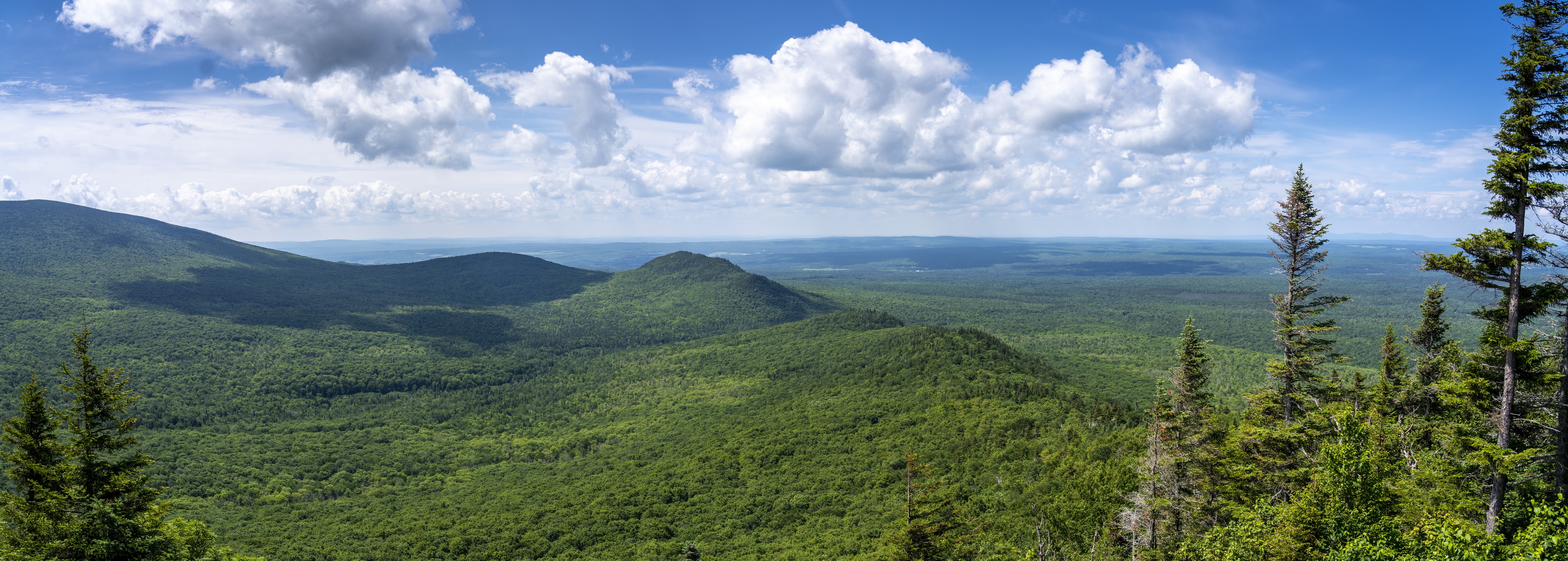 Panoramic view of the Appalachian mountains during summertime in Canada