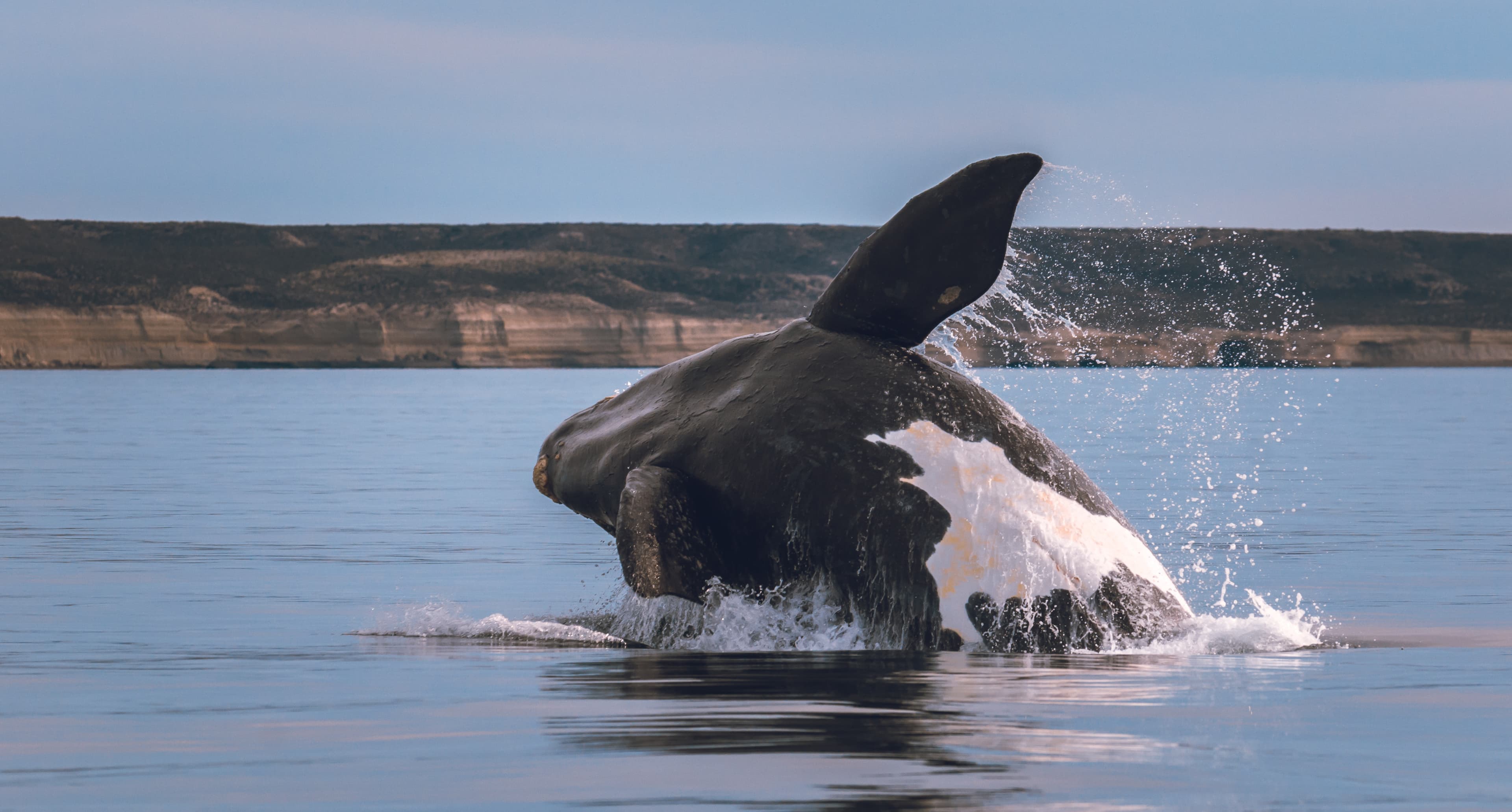 New Brunswick Region 13