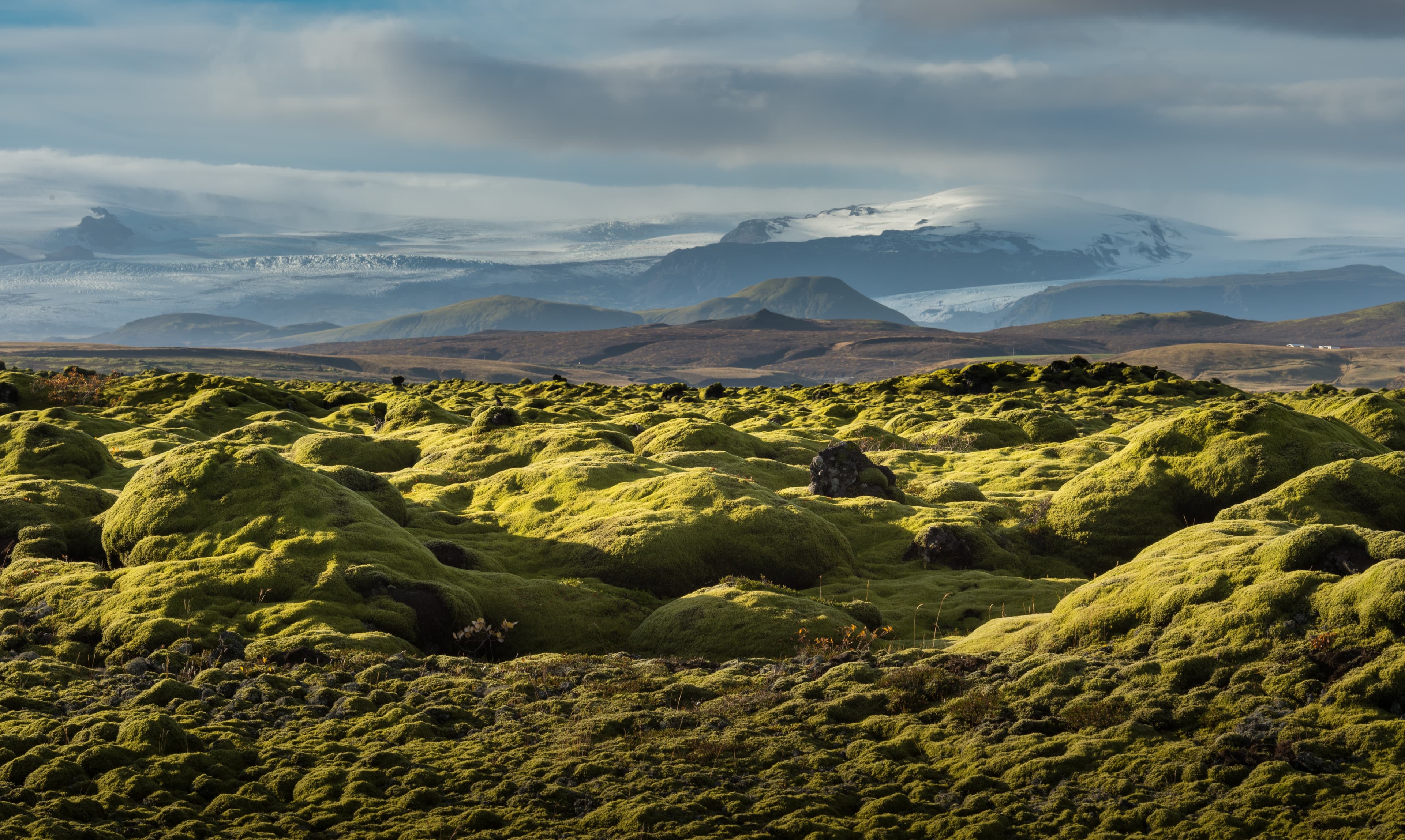 Grindavik Lava field at Iceland that cover by green moss snow mountain background in Autumn season Grindavik Lava field at Iceland that cover by green moss