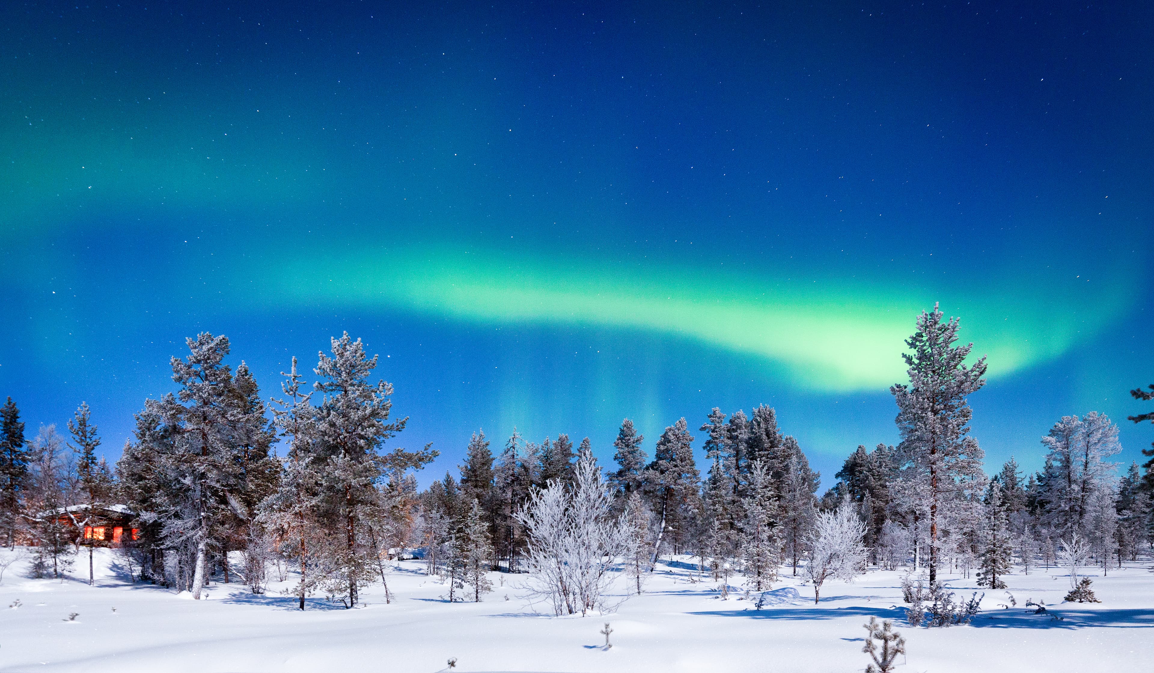 Panoramic view of amazing Aurora Borealis northern lights over beautiful winter wonderland scenery with trees and snow on a scenic cold night in Scandinavia, northern Europe Aurora Borealis over winter wonderland scenery in Scandinavia