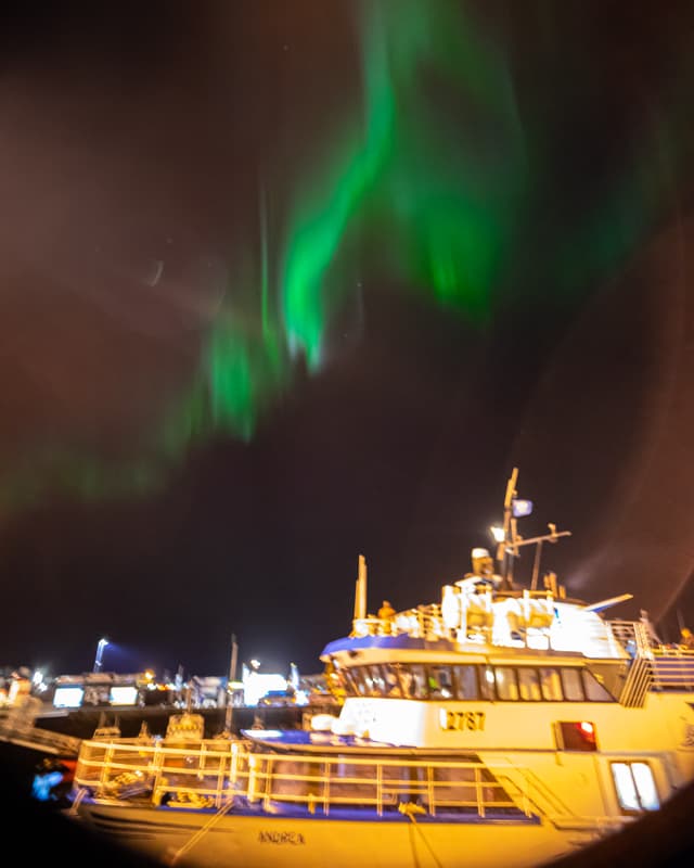 Northern lights by boat Special tours 03