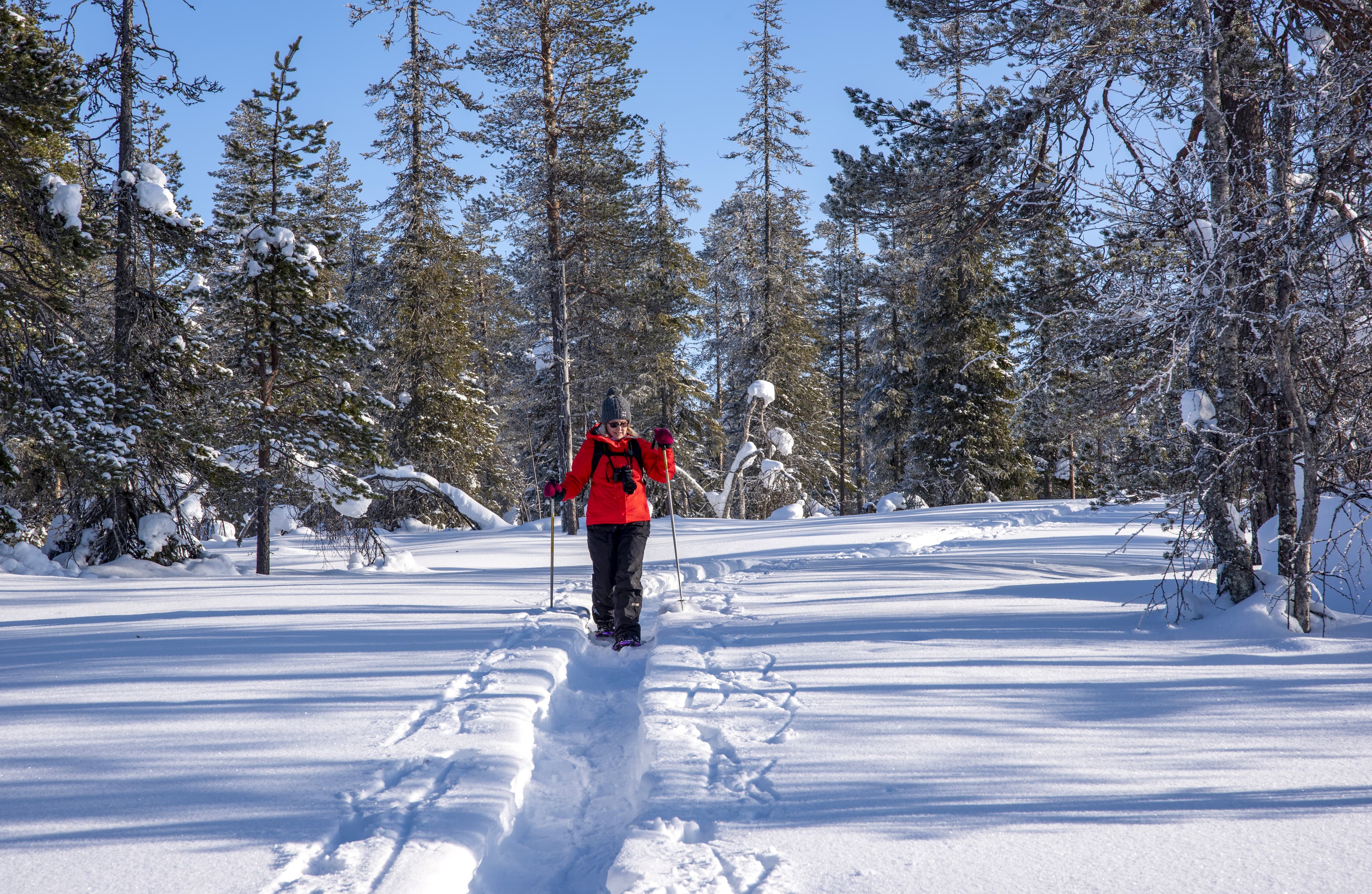 Woman snowshoeing in winter forest in Lapland Finland