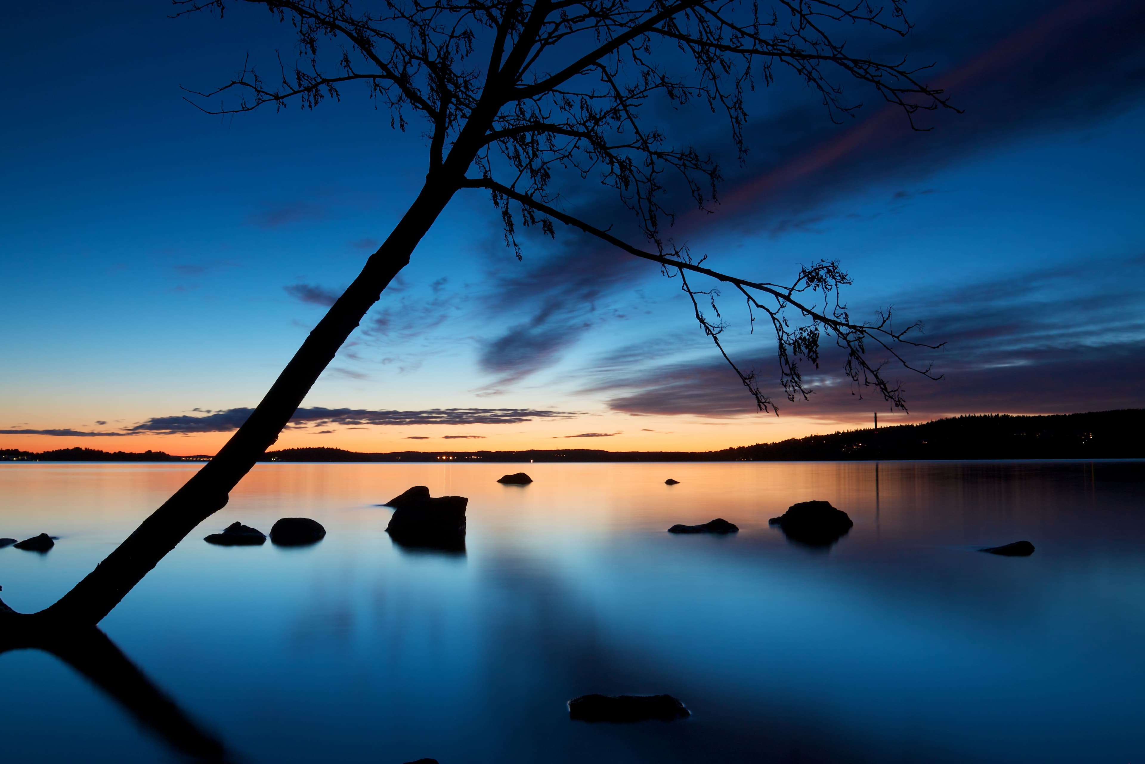 Silhouette of a tree leaning over Pyhajarvi lake after sunset with blue sky reflecting in water Tree silhouette leaning over Pyhajarvi lake in Tampere