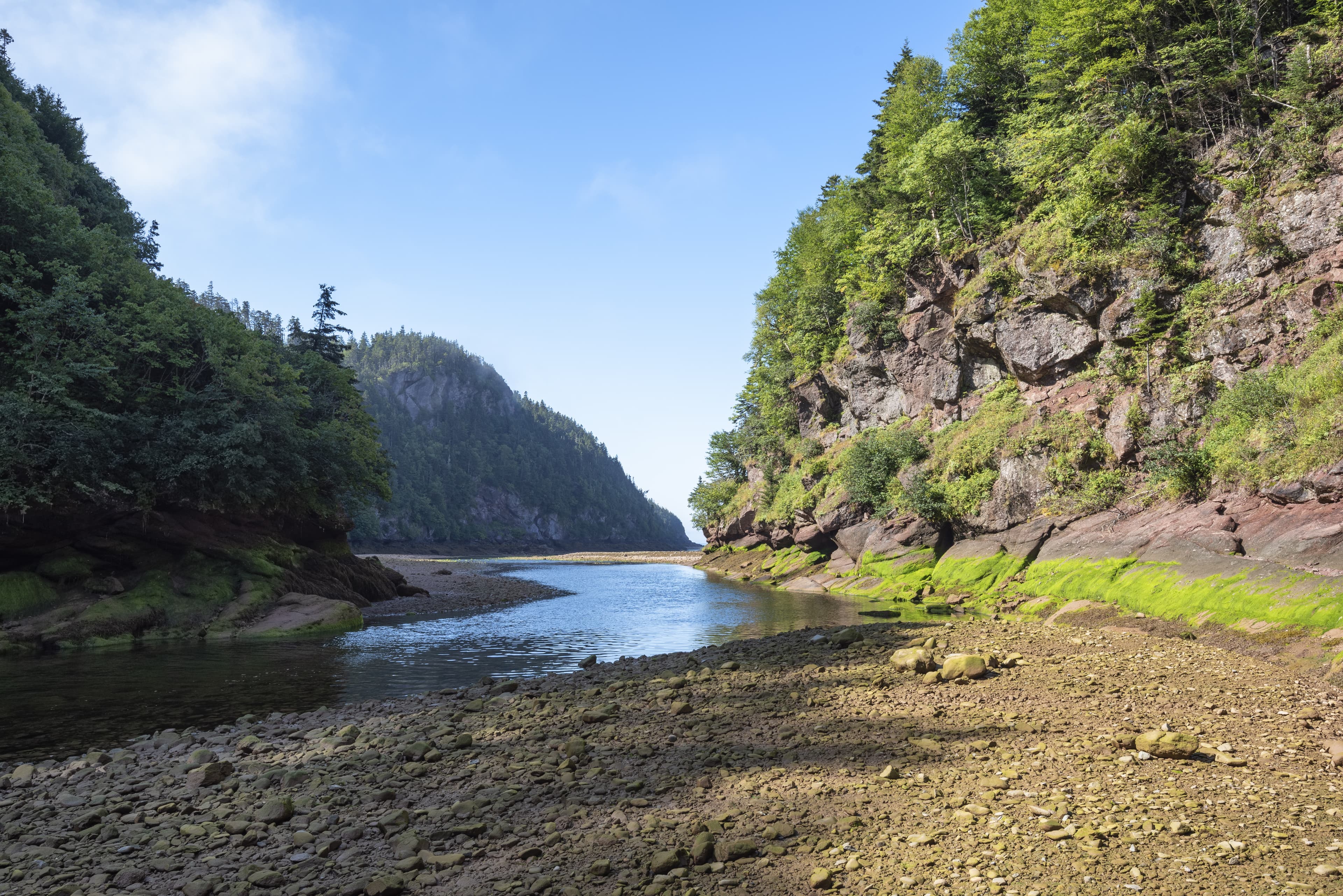 Der Fluss Point Wolfe im Fundy Nationalpark, Alma, New Brunswick, Kanada Der Fluss Point Wolfe im Fundy Nationalpark, Alma, New Brunswick, Kanada