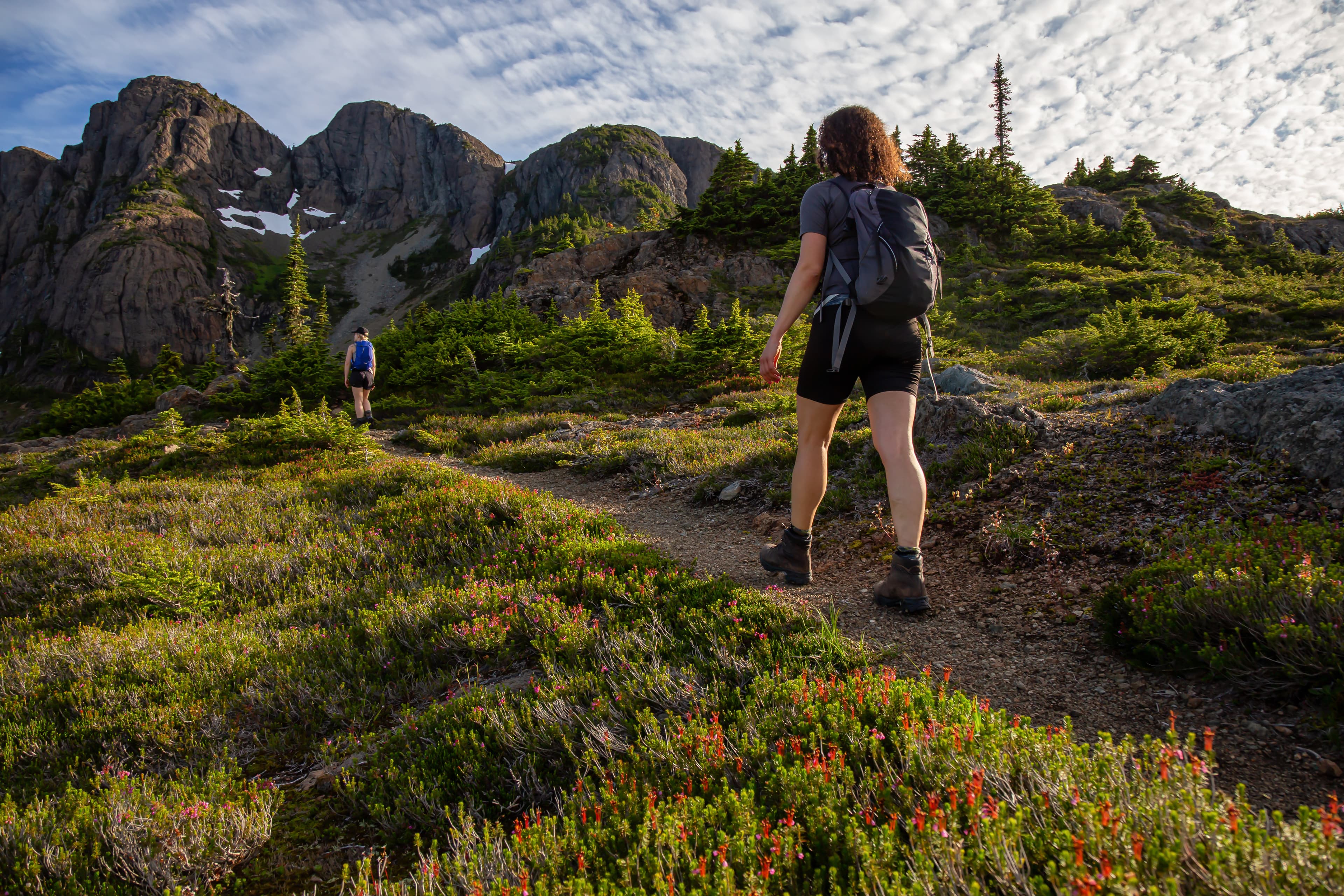 Adventurous girl hiking the beautiful trail in the Canadian Mountain Landscape during a vibrant summer evening. Taken at Mt Arrowsmith, near Nanaimo, Vancouver Island, BC, Canada. Adventurous girl hiking the beautiful trail in the Canadian Mountain Landscape during a vibrant summer evening. Taken at Mt Arrowsmith, near Nanaimo, Vancouver Island, BC, Canada.