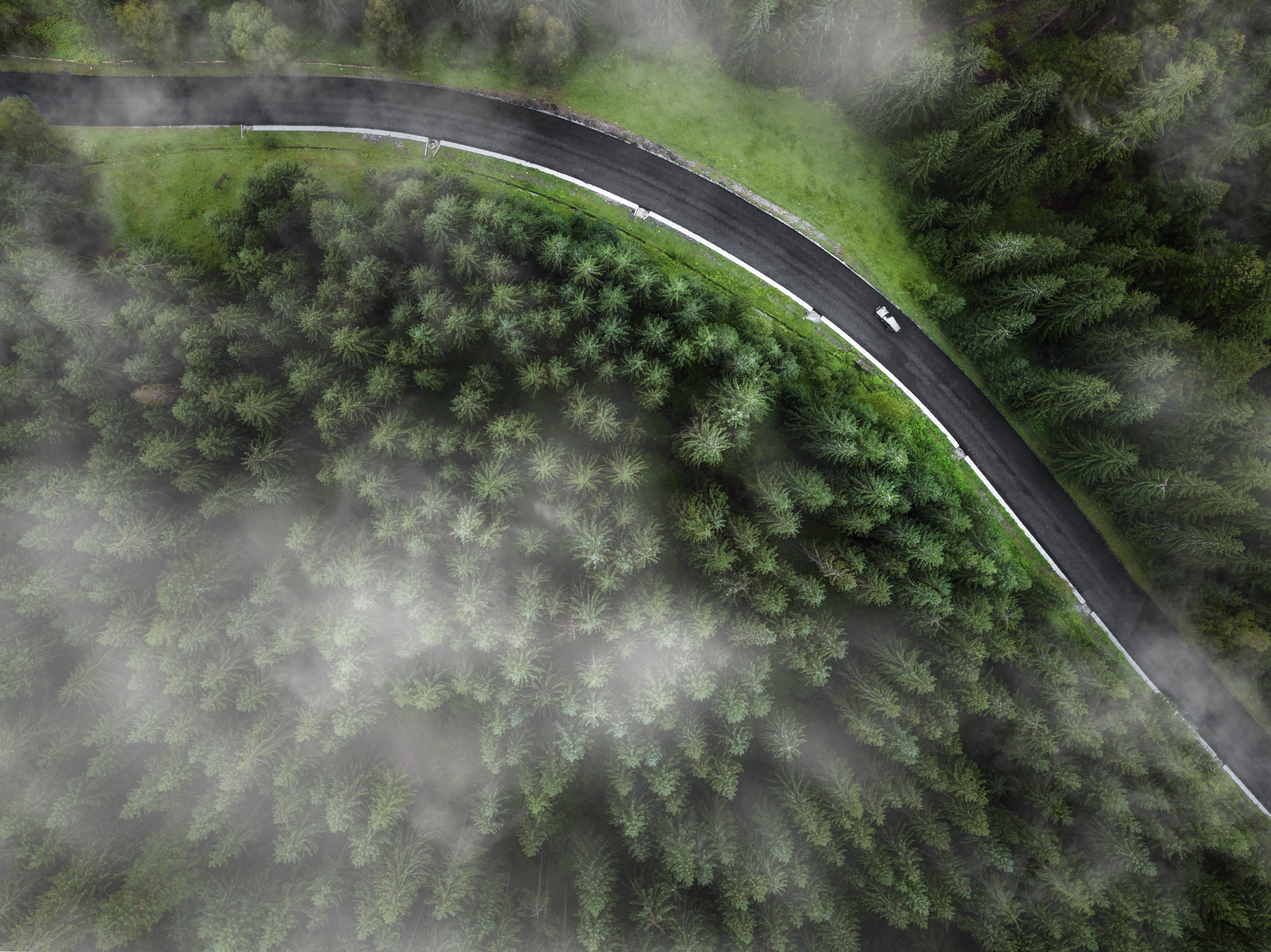 arial veiw of empty road in green forest. drone shot