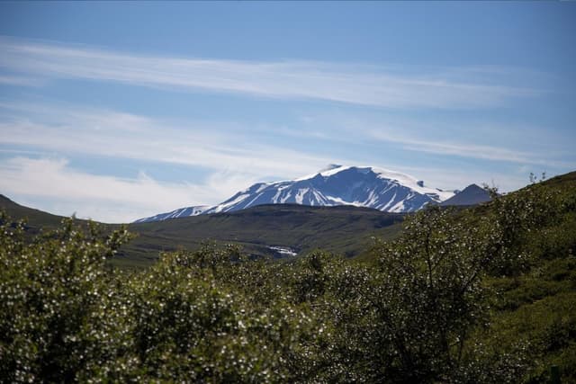 Wilderness Waterfall Hike Scenic View