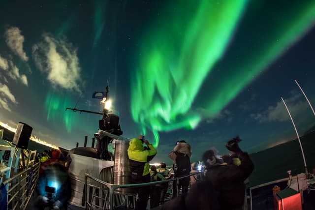 Northern lights by boat Special tours 66