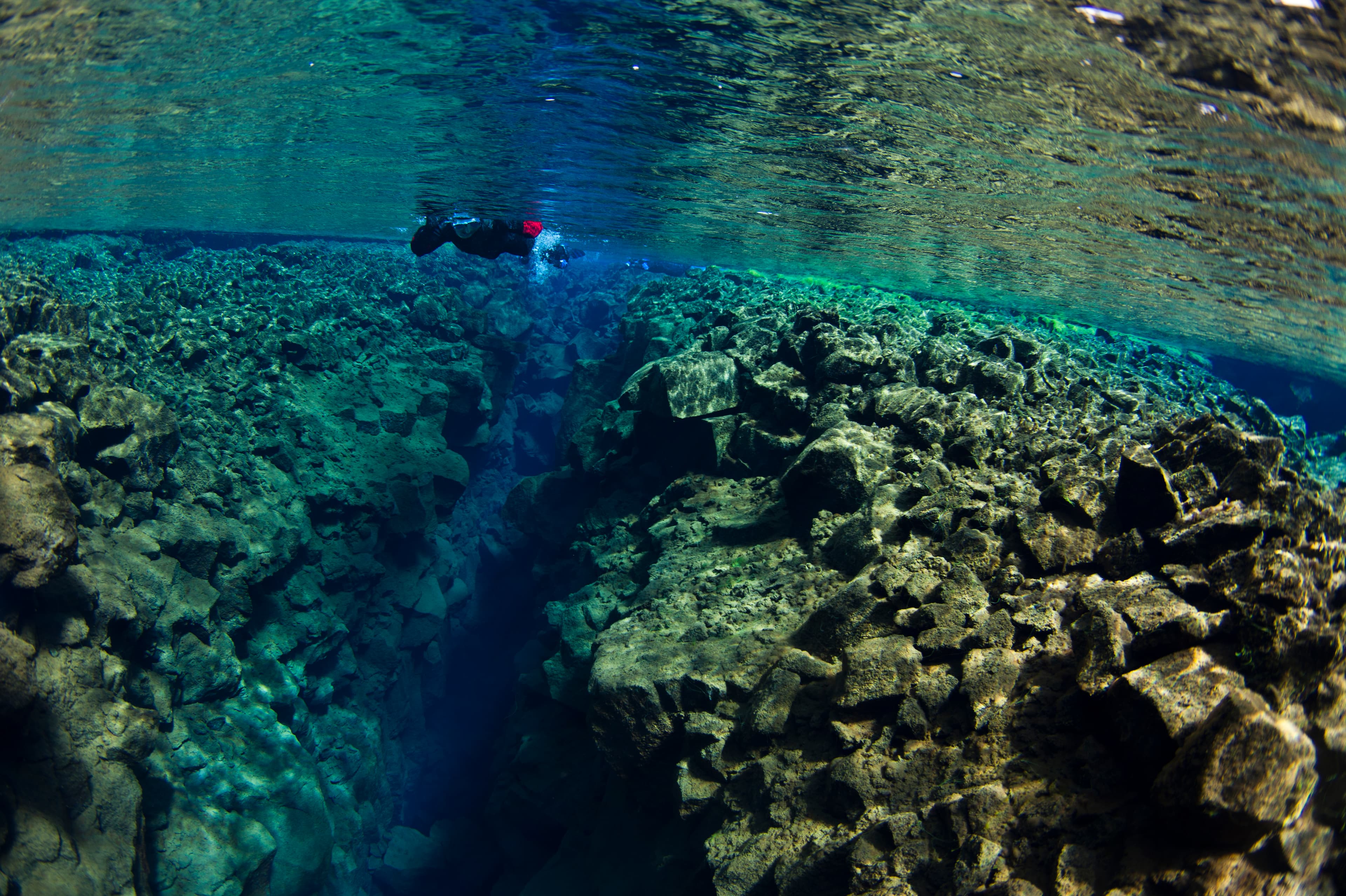Snorkeling - Into the Blue - ellithor.comIMG_1413