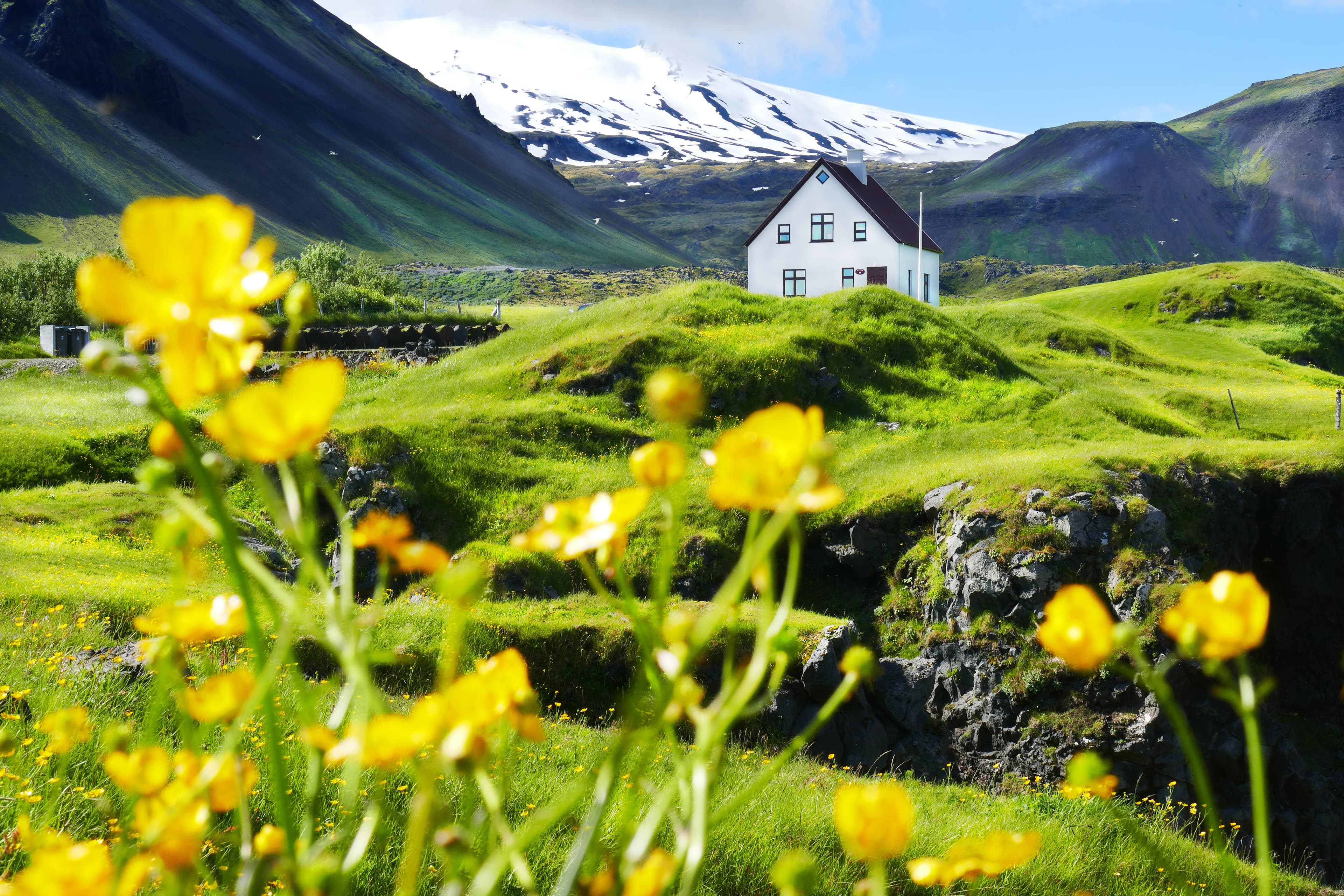 fishing-village-arnarstapi-summer time at Snaefellsnes Peninsula, Iceland