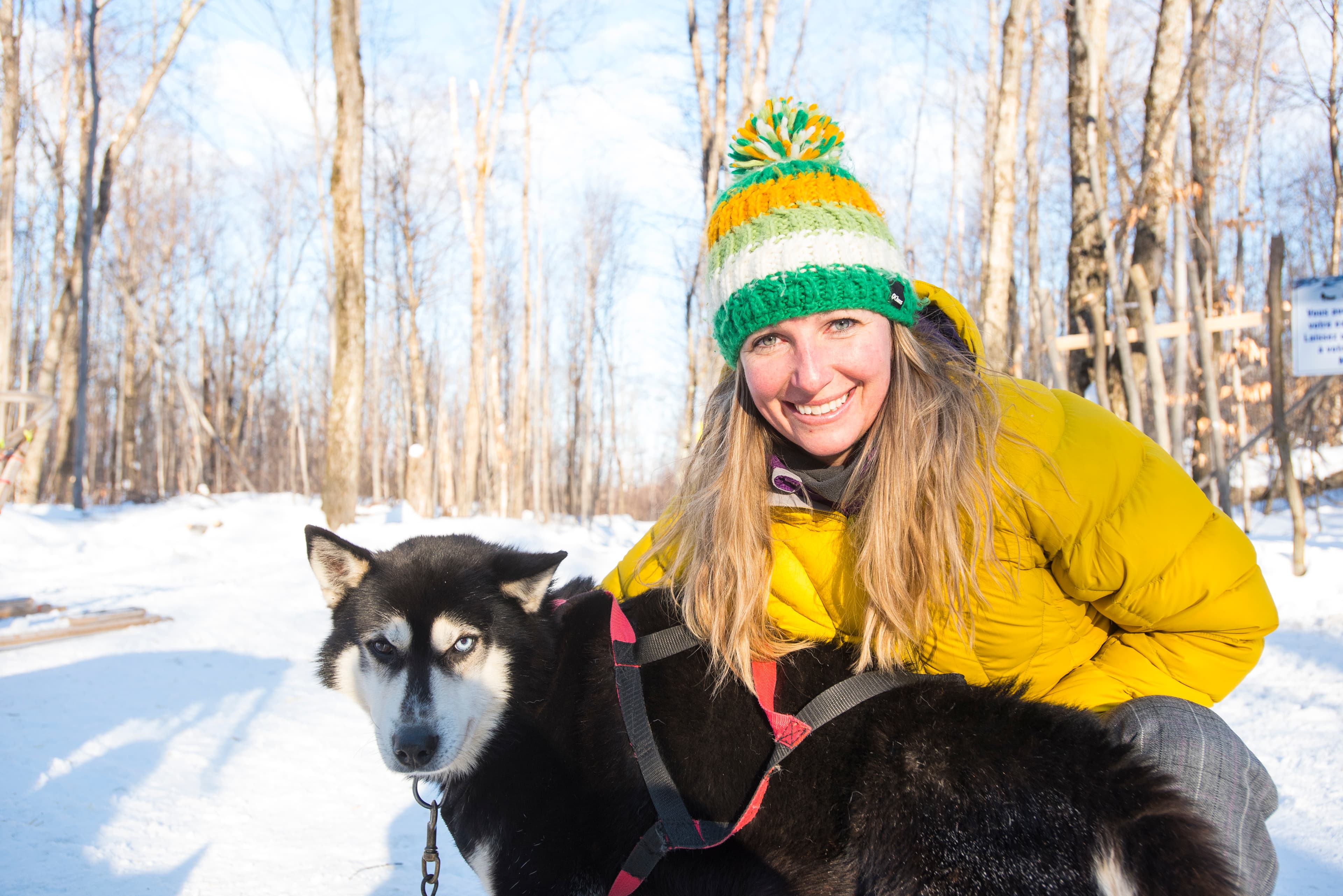 Dog sledding, snowmobiling & more multi-activities 1