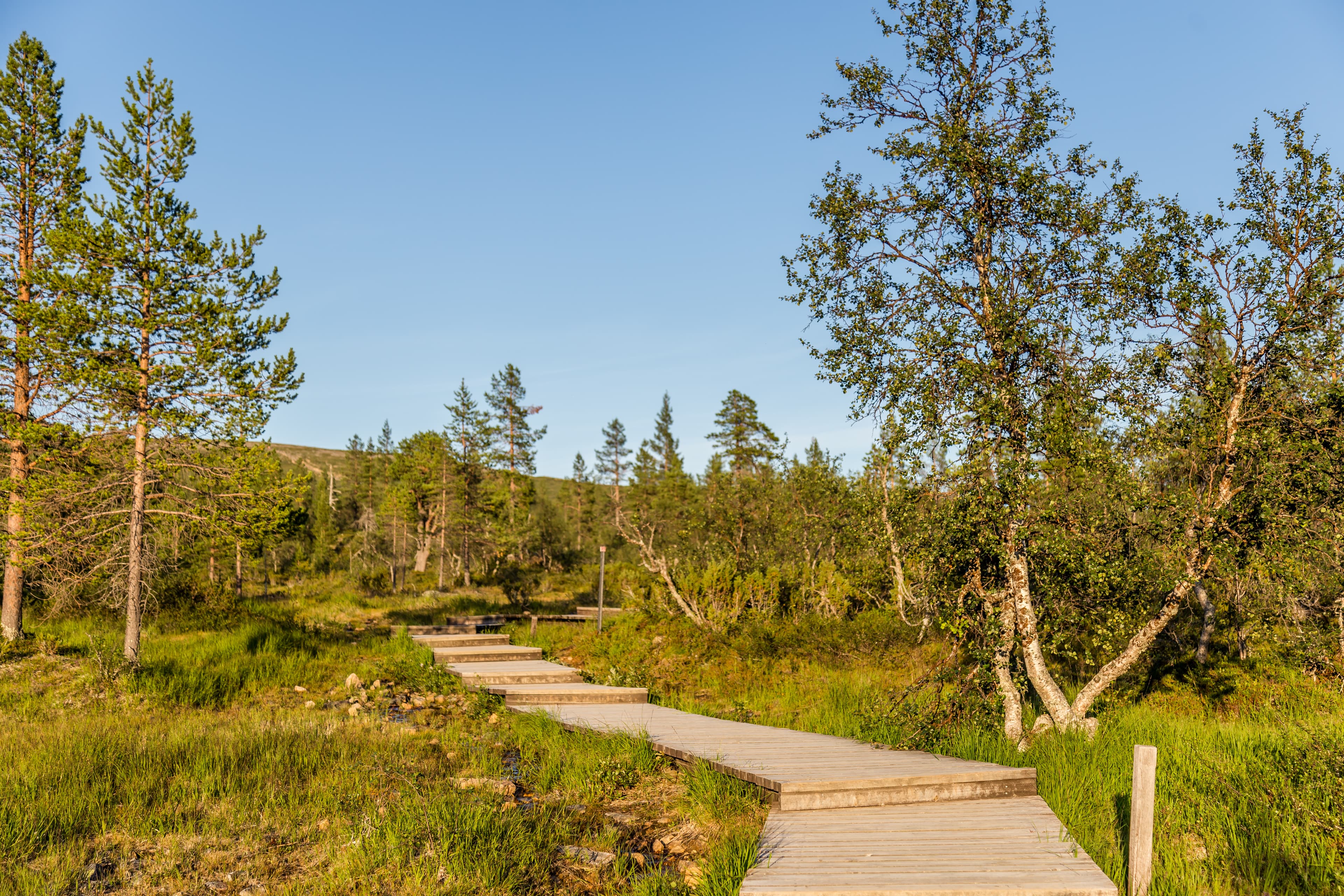 Boardwalk in Urho Kekkonen National Park in Finland. It is one of the major national parks in Lapland, Finland Boardwalk in Urho Kekkonen National Park in Finland. It is one of the major national parks in Lapland, Finland